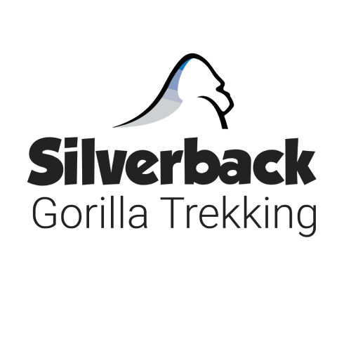 Silverback Gorilla Trekking